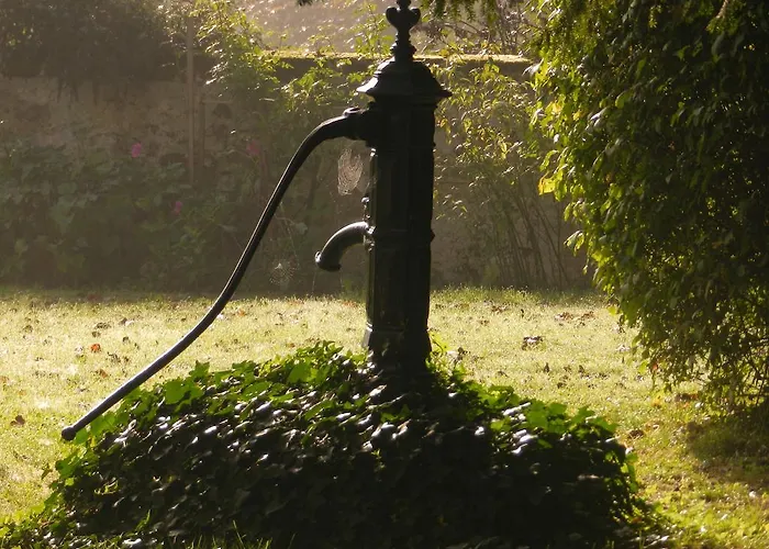 Bed and Breakfast A L'olivier Montcaret